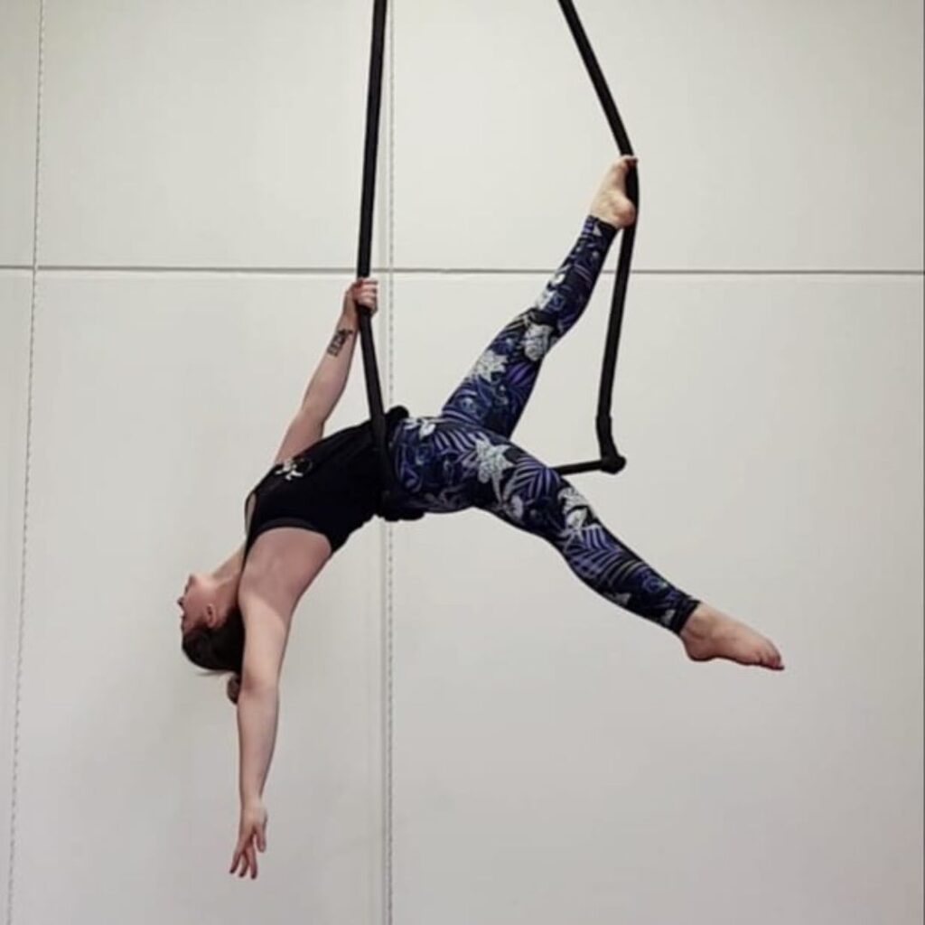 adult trapeze classes